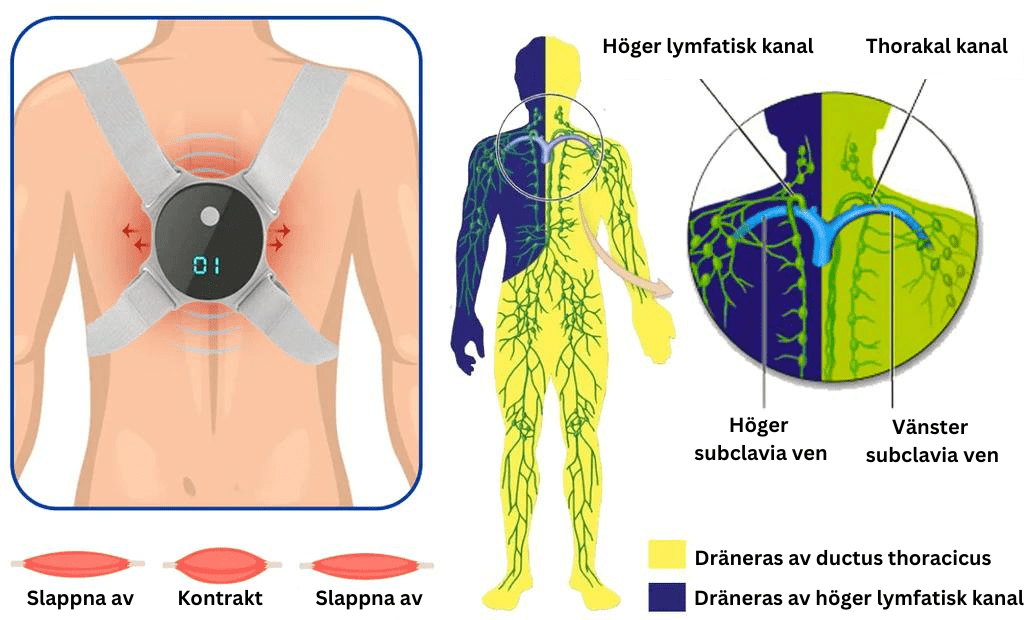 Ultraljud och långt infrarött lymfatiskt lugnande kroppsskulpterande enhet™