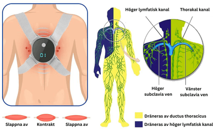 Ultraljud och långt infrarött lymfatiskt lugnande kroppsskulpterande enhet™