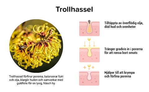 föryngrande lyxmask i guld™